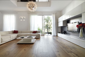 Contemporary_West_Hollywood_Living_Room
